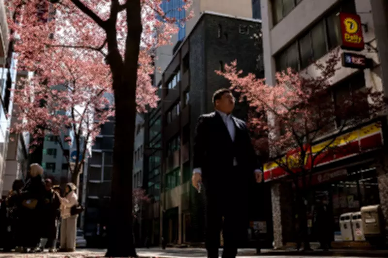 Japan's Cherry Blossom Season Begins Early in Three Cities, Marking Cultural Celebration