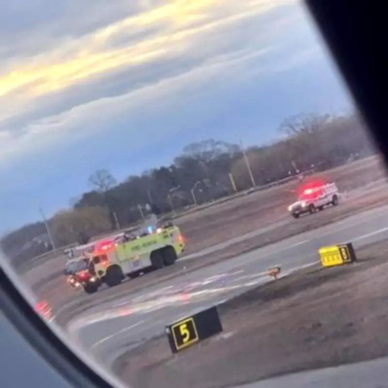 JetBlue Flight Makes Emergency U-Turn After Striking Coyote on Runway
