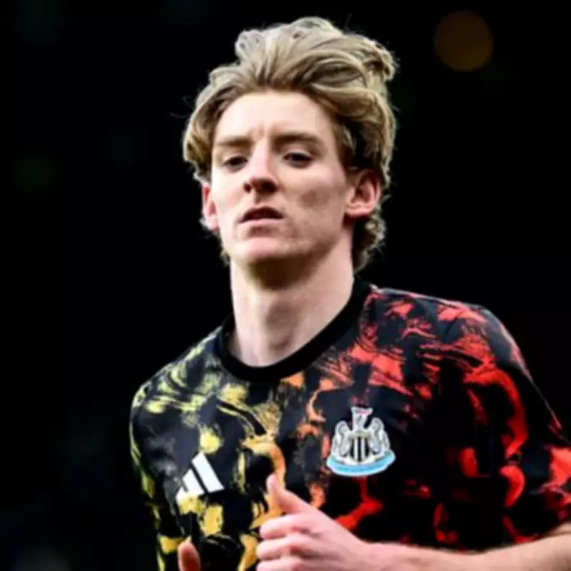 Joe Cole Backs Anthony Gordon Arsenal Move as 'Perfect Fit' for Arteta