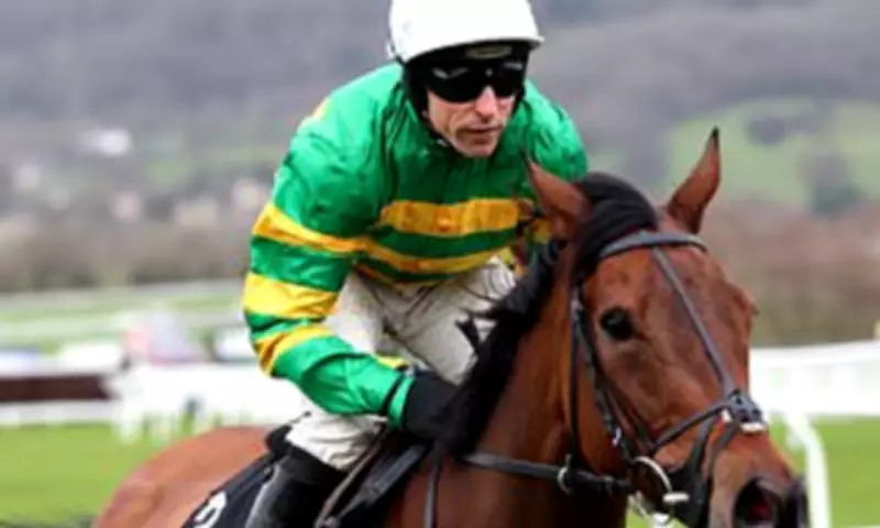 JP McManus Targets Cheltenham Glory on 75th Birthday with Strongest Ever Squad