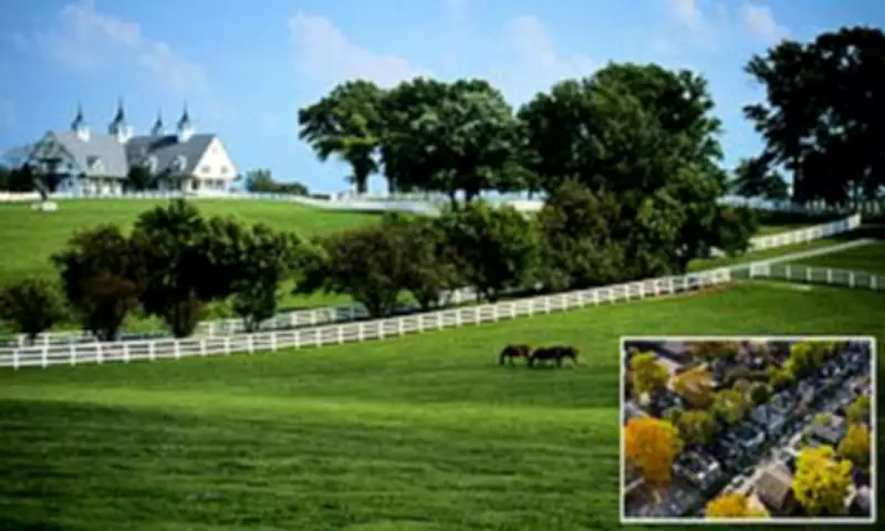 Kentucky's Rural Revival: Population Surge Reverses Decades of Decline