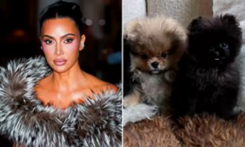 Kim Kardashian Defies Critics by Reposting Controversial Christmas Puppy Photo