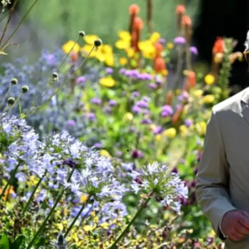King Charles' Ex-Gardener Reveals 7 Tips to Boost Property Value
