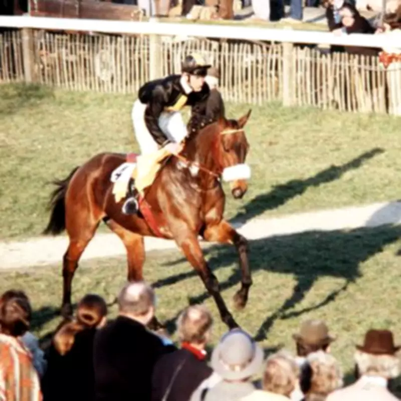 King Charles Forgives Rival Jockey, But Queen Camilla Still Holds Grudge
