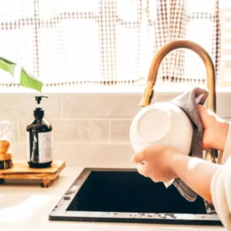 Kitchen Sponge Sanitisation: Quick Hack to Eliminate Toilet-Level Bacteria