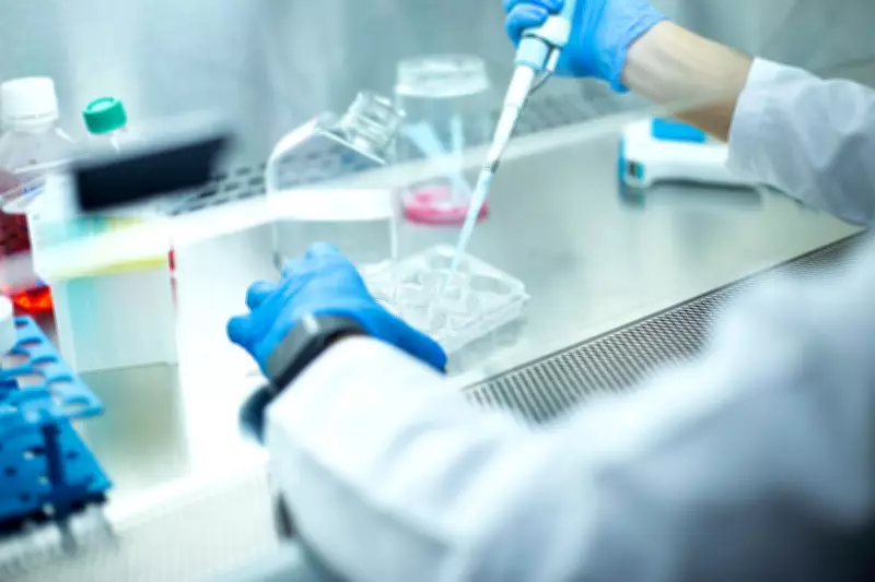 Lab Gloves May Skew Microplastic Counts, New Study Reveals