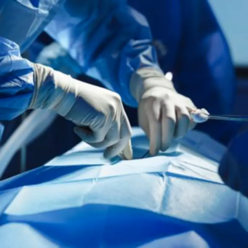 Lab-Grown Pig Tissue Could Create New Oesophagus for Babies Within Five Years