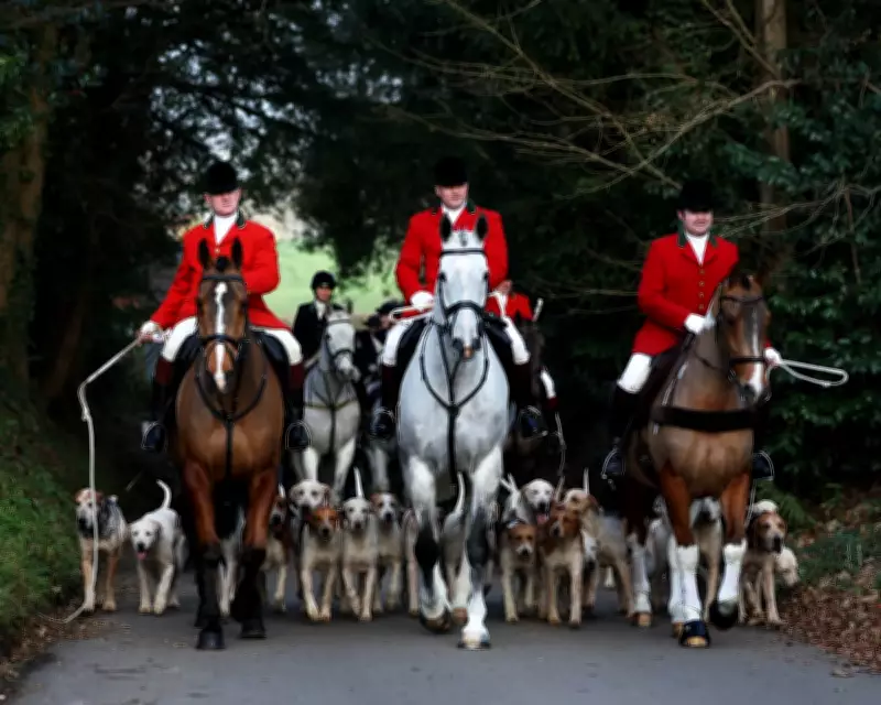 Labour Government Launches Public Consultation on Trail Hunting Ban