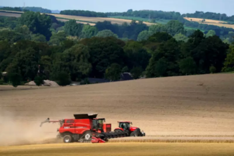 Labour MPs Demand Fairness for UK Farmers with New Labelling and Trade Standards