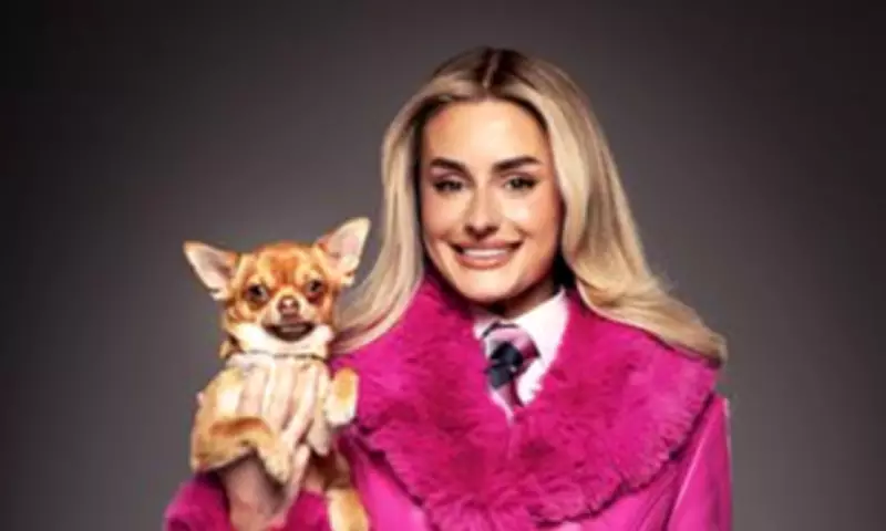 Legally Blonde Musical Scaled Back to Concert Version Amid Cast Illness Outbreak