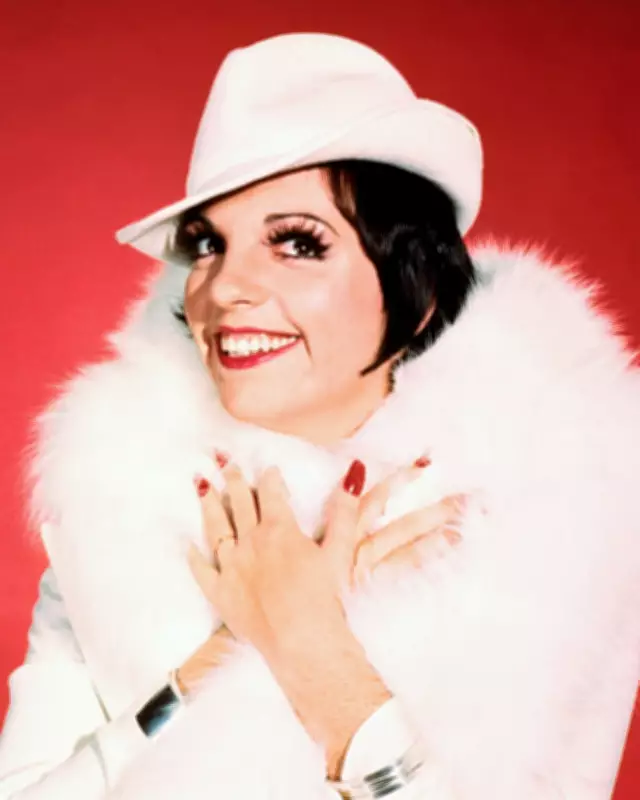 Liza Minnelli at 80: Friends Share Tales from Hollywood to Acid House Raves