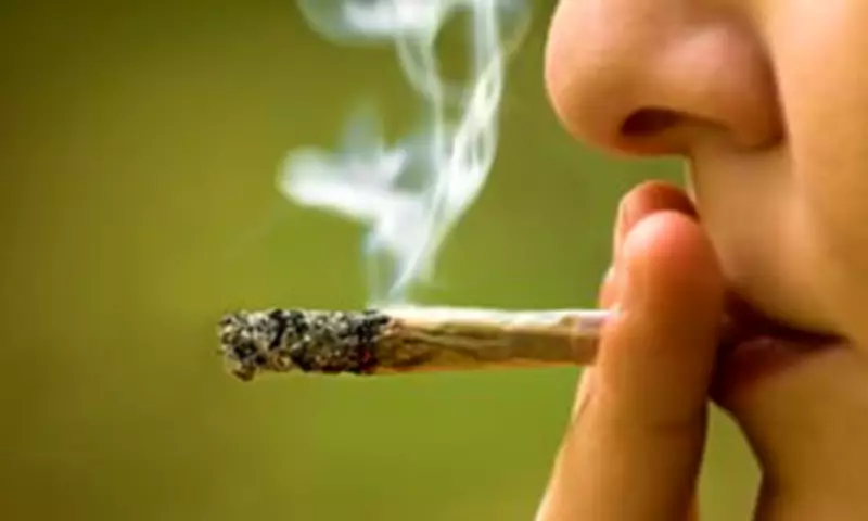Long-Term Cannabis Use Thins Brain's Frontal Cortex, Study Reveals