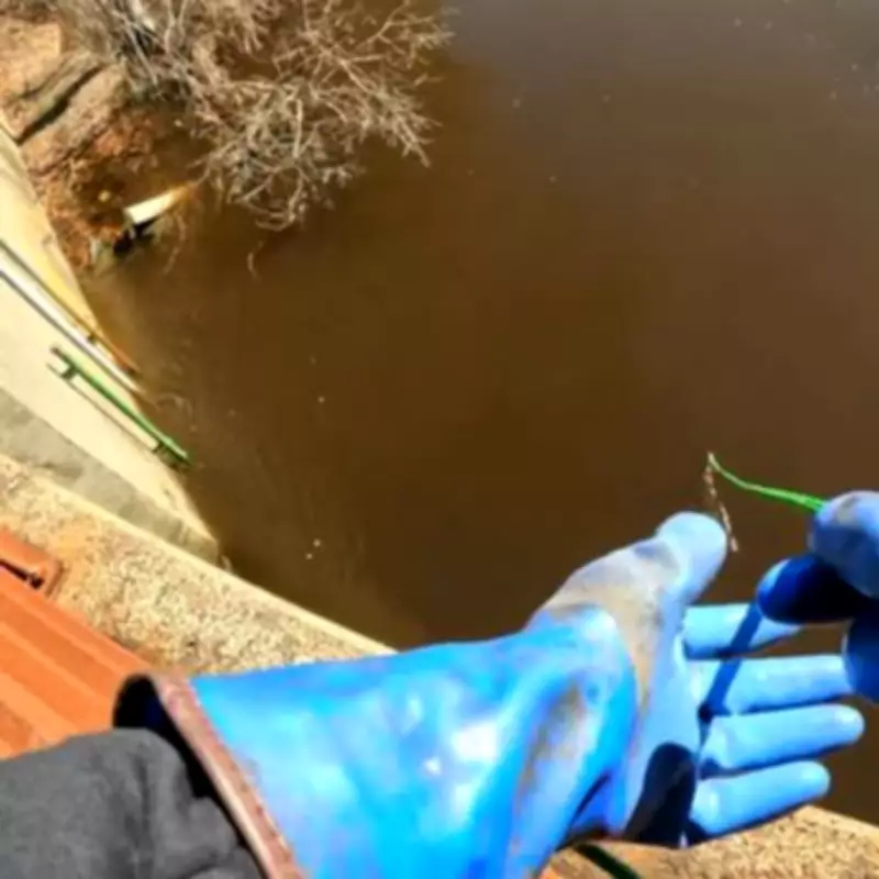 Magnet Fisher's River Discovery: Firearm Find Prompts Police Call