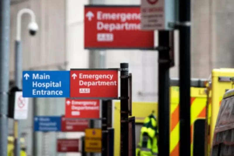 Major 15-Vehicle Pile-Up Closes M73 Motorway in Lanarkshire Overnight