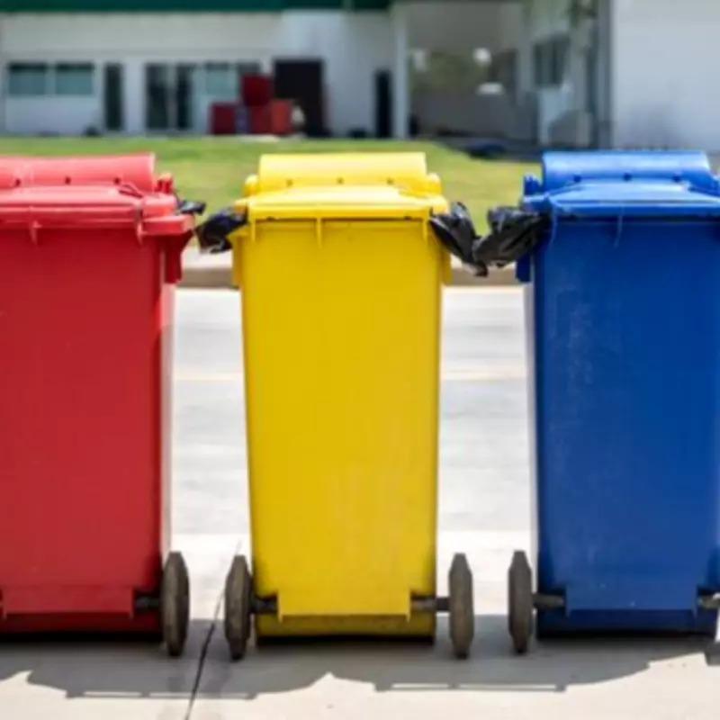 Major Bin Collection Overhaul Begins in England: New Four-Bin System and Fines