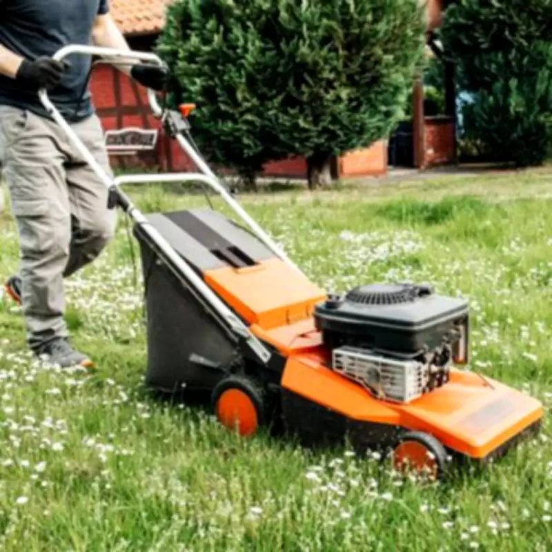 Man Convinced Neighbours' Lawn Mowing Holds Secret Message