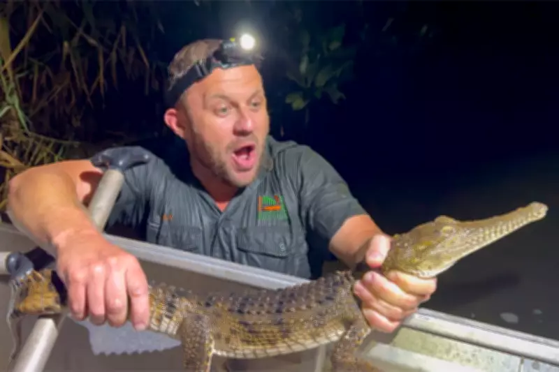 Massive Crocodile Captured in Newcastle Creek Sparks Safety Concerns