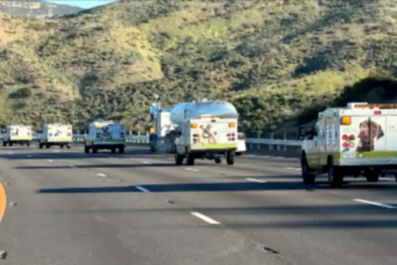 Massive LA County Operation Rescues 700 Dogs and Cats in Record Seizure