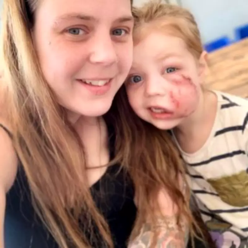 Mastiff-Great Dane Cross Ordered Destroyed After Mauling Four-Year-Old Girl