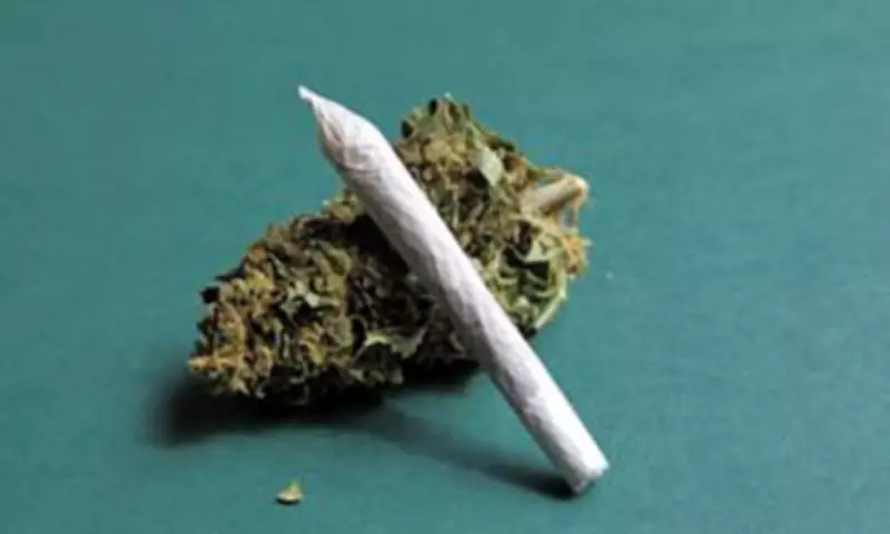 Medicinal Cannabis Ineffective for Anxiety and Depression, Landmark Study Warns