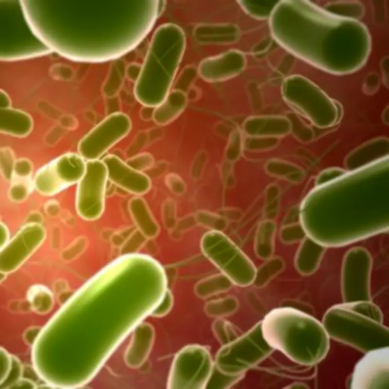 Meningitis Mutation Identified as Potential Driver of Deadly Kent Outbreak