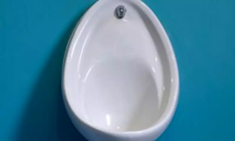 Men's Health Alert: Skipping Post-Urination Wiping Raises Infection Risk