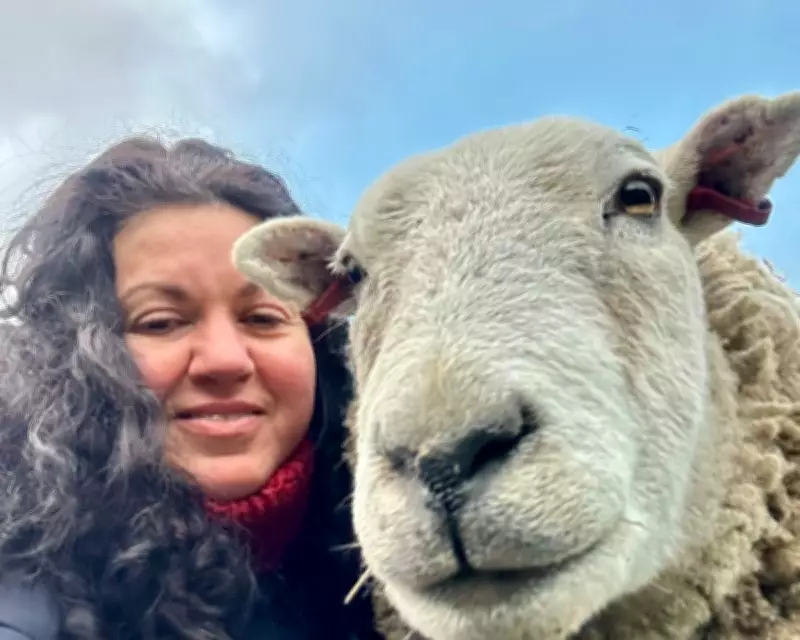 Merlin the Therapy Sheep: From Field Weed Control to Mental Health Healer