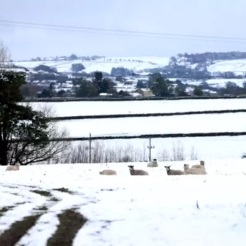 Met Office Forecasts Snowfall Across UK Highlands Within Hours