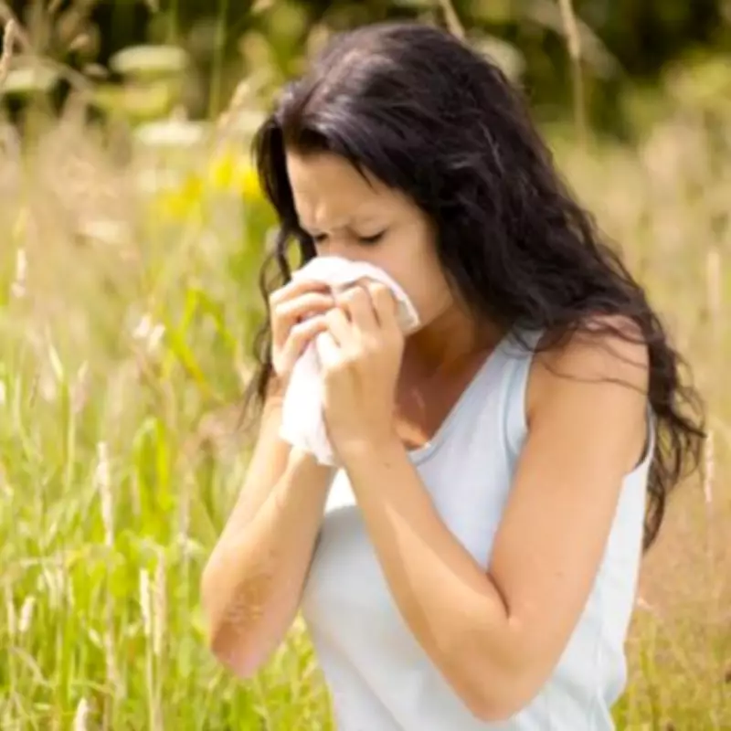 Met Office Issues Hay Fever Alert as 22C Mini Heatwave Approaches UK