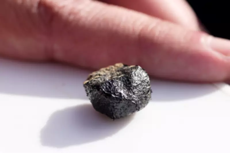 Meteorite Hunters Flock to Ohio After Massive Space Rock Crashes to Earth