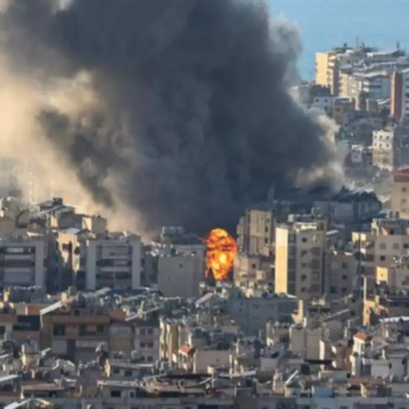 Middle East Dog Owners' Heartbreaking Plea Amidst Bombing Crisis