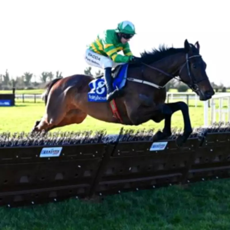 Mighty Park Switches to Supreme Novices' Hurdle After Turners Withdrawal