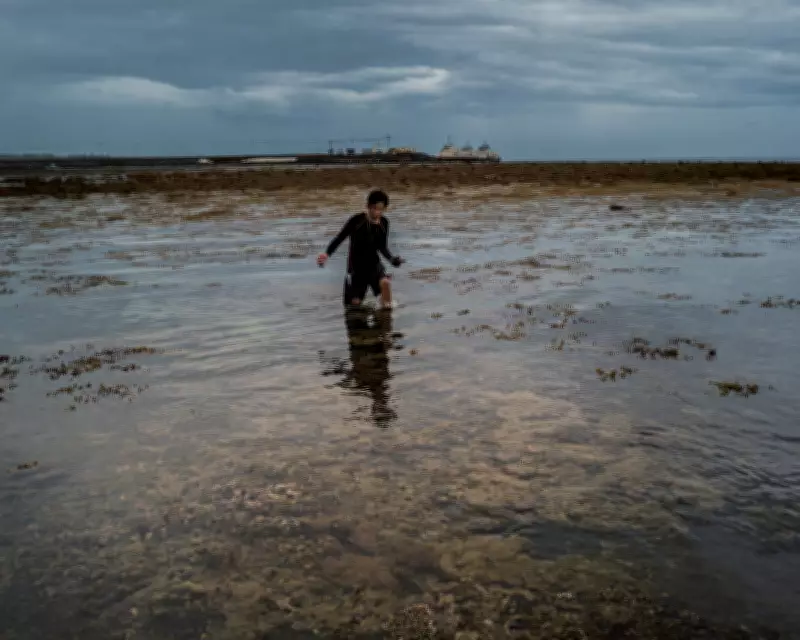 Mining for Clean Energy Batteries Ravages Philippines' Last Ecological Frontier