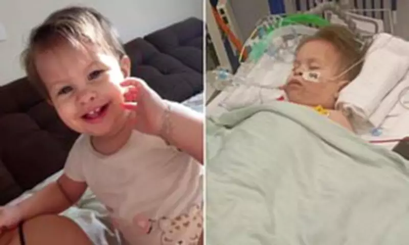 Miracle Baby's Fight for Life After Choking on Strawberry Leaves Family Stranded in UK