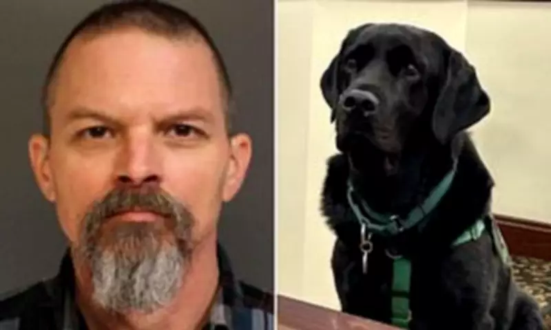Mistrial Declared in Dog Killing Case After Therapy Dog Enters Jury Room