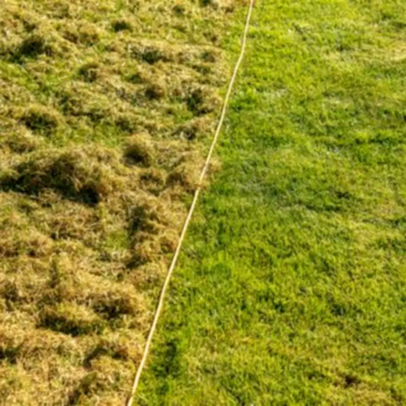 Monty Don's March Lawn Care: One Simple Task for Thicker Grass