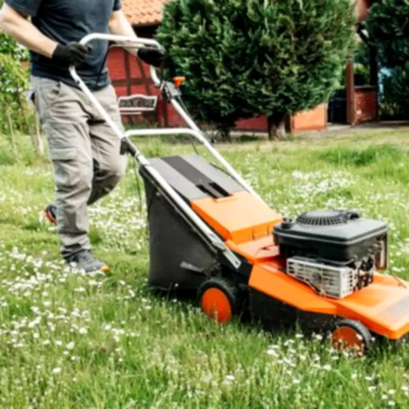 Monty Don's March Lawn Care Secret for Thicker, Healthier Grass