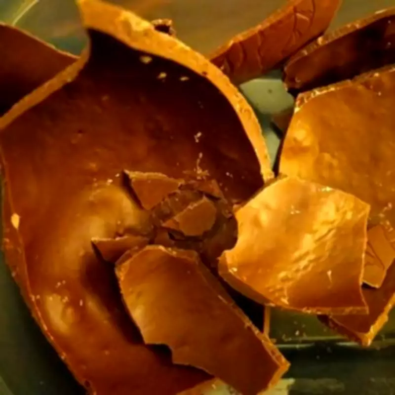 Morrisons' £10 Latte Crunch Easter Egg Review: A Grown-Up Chocolate Delight