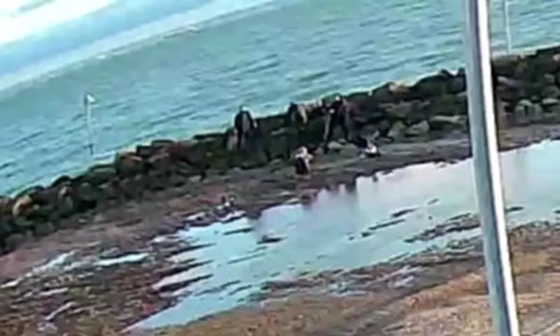 Mother and Daughter Rescued from Sinking Sand at Southend Seaside Lagoon