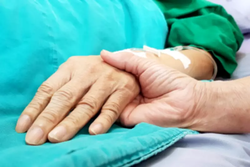 MPs Decry 'Postcode Lottery' in UK Palliative Care as Services Deemed Inadequate