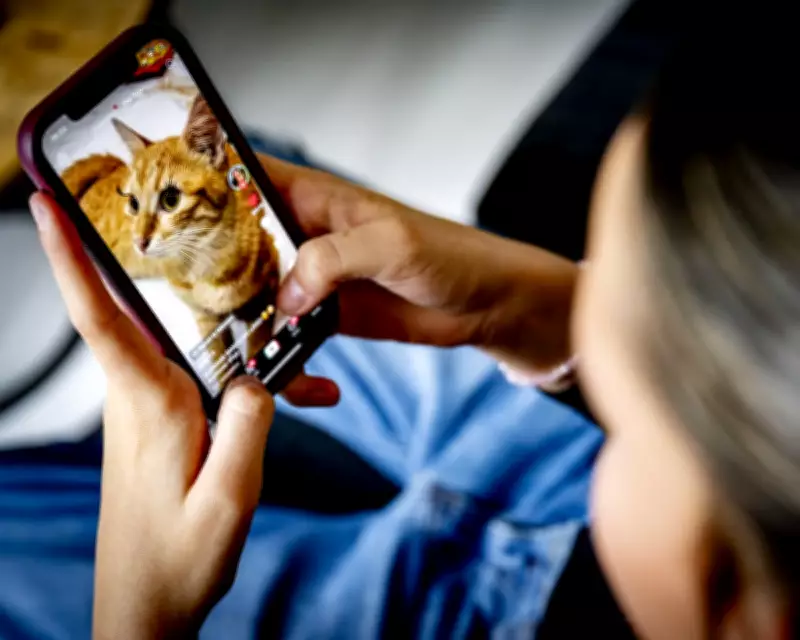 MPs Reject Under-16 Social Media Ban, Grant Ministers New Powers