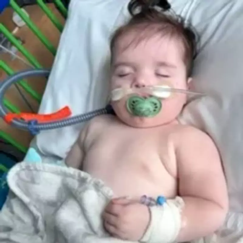 Mum's Battle for Son with Floppy Windpipe After Doctors Dismissed Symptoms as Virus