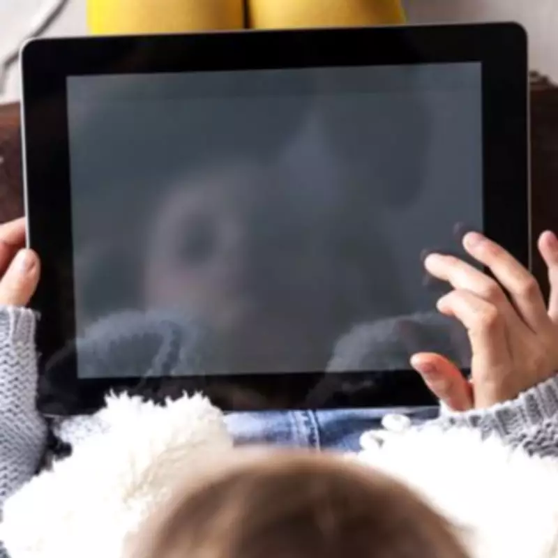 Mum's 'Smug' Confession Over Toddler's Screen-Free Restaurant Behaviour