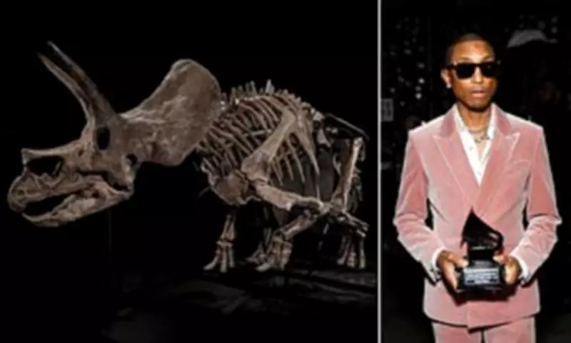 Museum-Exhibited Triceratops 'Trey' Heads to Auction as Dinosaur Market Soars