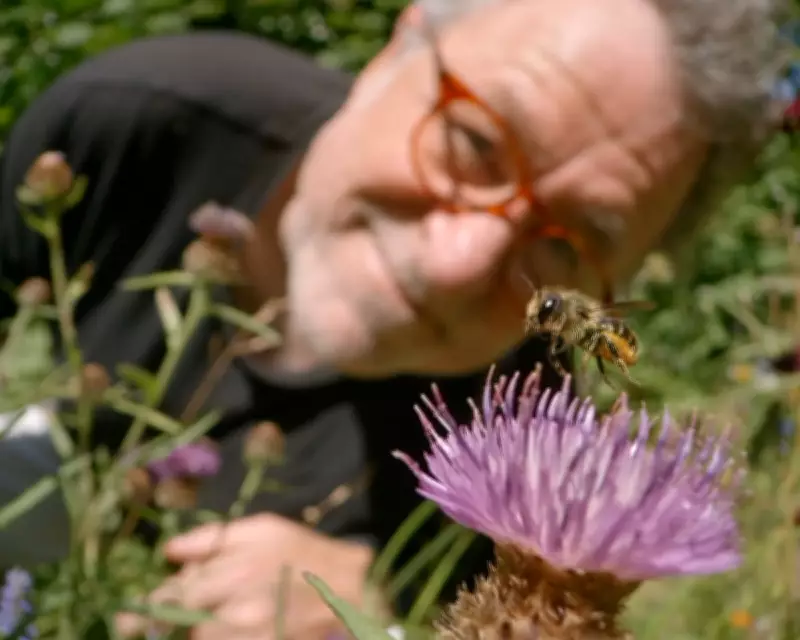 My Garden of a Thousand Bees: A Joyous Documentary on Urban Bee Life