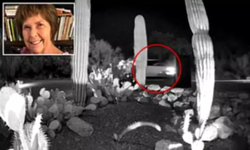 Nancy Guthrie Case: Sheriff Says Car Footage Still Unidentified After Month