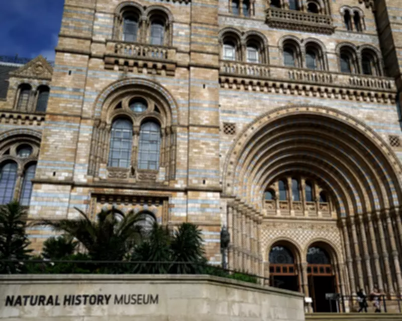 Natural History Museum Breaks UK Visitor Record Amid Sector Struggles