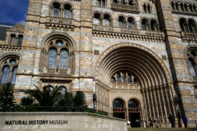 Natural History Museum Crowned UK's Top Attraction with Record 7.1 Million Visits