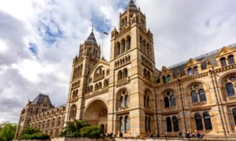 Natural History Museum Crowned UK's Top Tourist Attraction for 2025