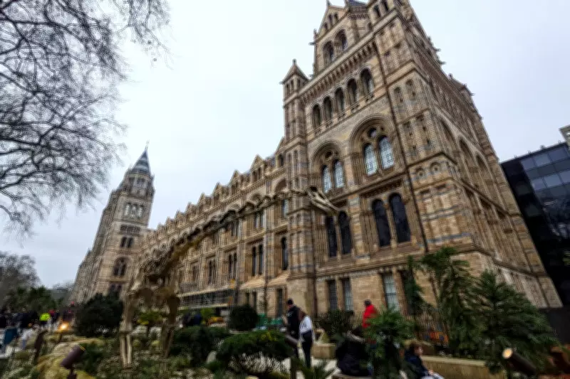 Natural History Museum Overtakes British Museum as UK's Top Attraction